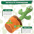Dancing Cactus – Talking, Singing & Wiggling Toy for Kids 🌵🎶